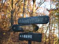 The Land of Mt. Fuji Yamanashi