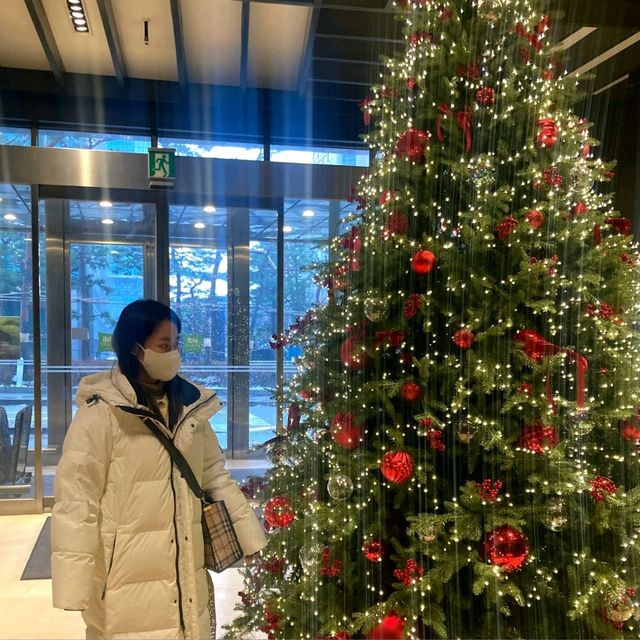 🏨 코엑스 근처 호텔 추천; 이비스 스타일 앰배서더 서울 강남