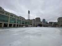 Ottawa's City Hall