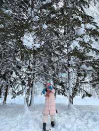 자작나무 눈세상 ”탁심원“ ❄️❄️❄️