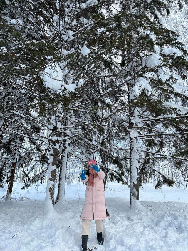 자작나무 눈세상 ”탁심원“ ❄️❄️❄️