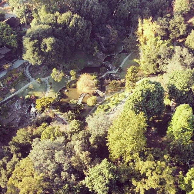 Charming Japanese tea garden in Pasadena 