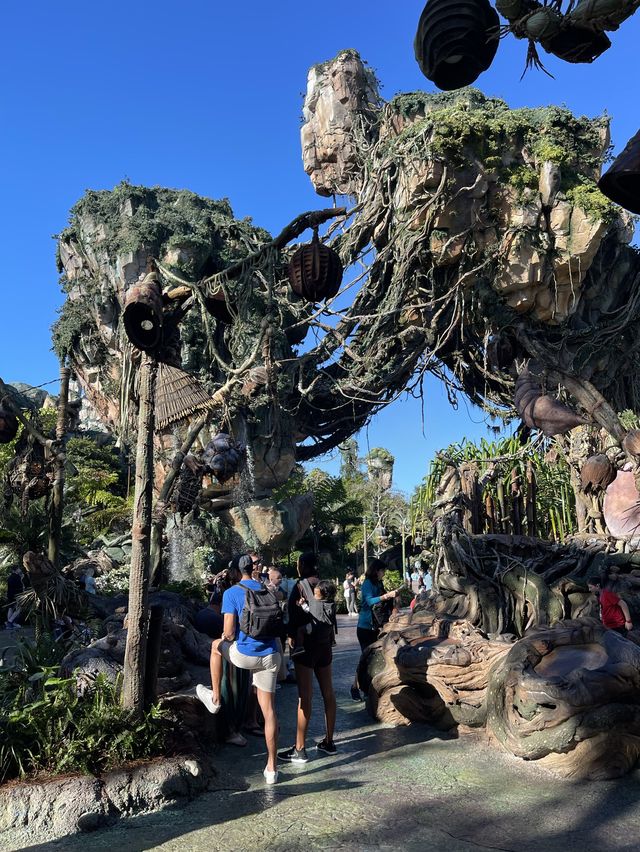 Disney’s Animal Kingdom - Pandora 