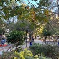 秋のクルッカレへの旅 Huseyin Kahya公園