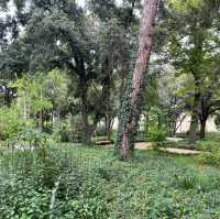 The Park of Vladimir Nazor 공원!