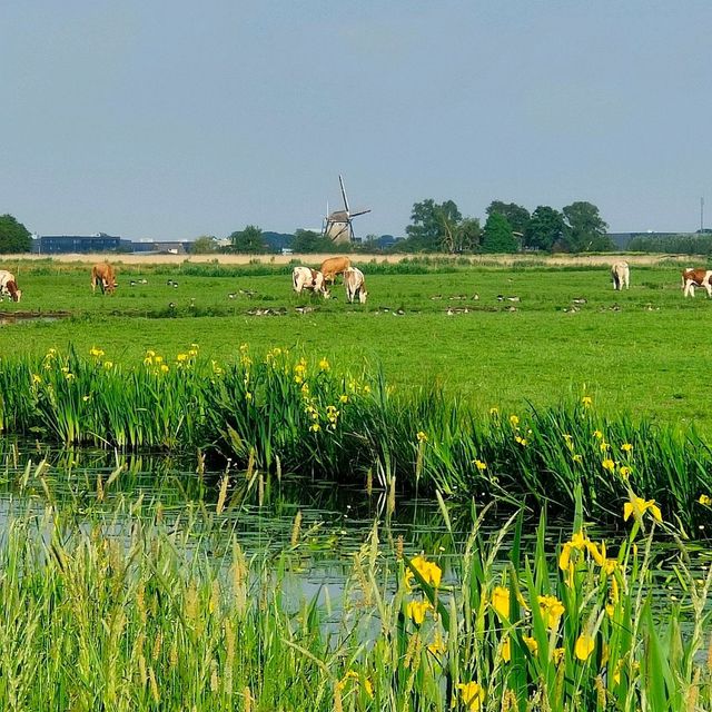 National Park de Biesbosch 