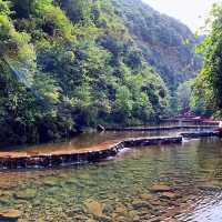 廣西弄拉：品嘗馬山黑山羊宴