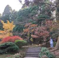 The Flower Path Garden Ruqin Lake Jiangxi