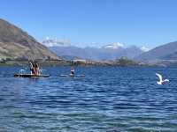 The tranquil lakeside of Wanaka Roy Bay.