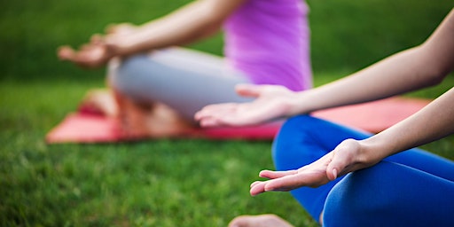 Great Balls of Yoga with Sheri Dressler (Woodstock) | Blue Lotus Buddhist Temple and Meditation Center