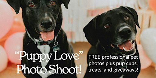 "Puppy Love" Photo Shoot with DBC Lowry and Sploot Vet Care | Denver Beer Co. Lowry