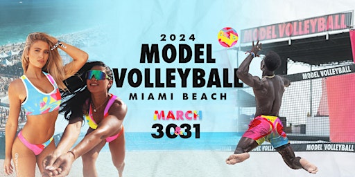 Monkey Shoulder Whisky Model Volleyball | 1775 Collins Ave