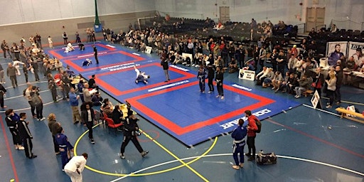 Hereford BJJ Open | The Point4