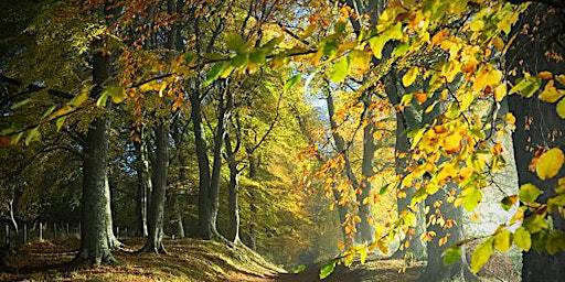An autumnal concert in two halves: world-class cello and brilliant folk | Jordans Village Hall