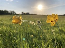 Walk Tonbridge Club - Back To The Viaduct | Vauxhall Inn