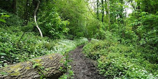 64. Sutton Woods and Sutton Maddock: 7 miles | YHA Ironbridge Coalport