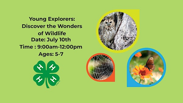 Cloverbud Explorers: Wonders of Wildlife | N.C. Cooperative Extension, Currituck County Center