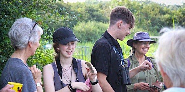 Trimley Marshes Bird Ringing Demo | Trimley Marshes Nature Reserve
