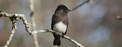 Fall Birding at Foothill Regional Park | Foothill Regional Park