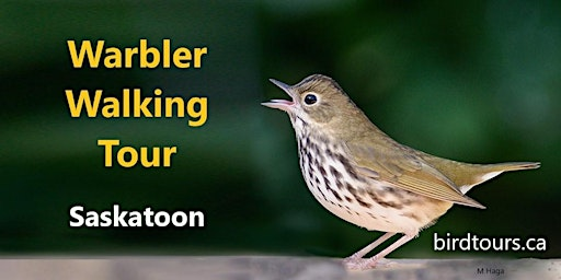Warbler Walking Tour - Holiday Park | Holiday Park