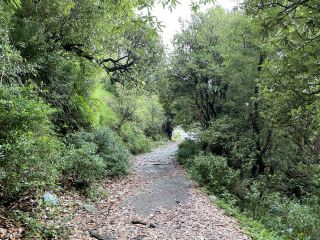 A small Hike to Heaven