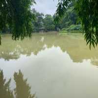 Botanic Garden Singapore 