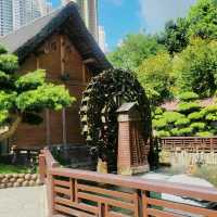南蓮園池 市區中的淨土
