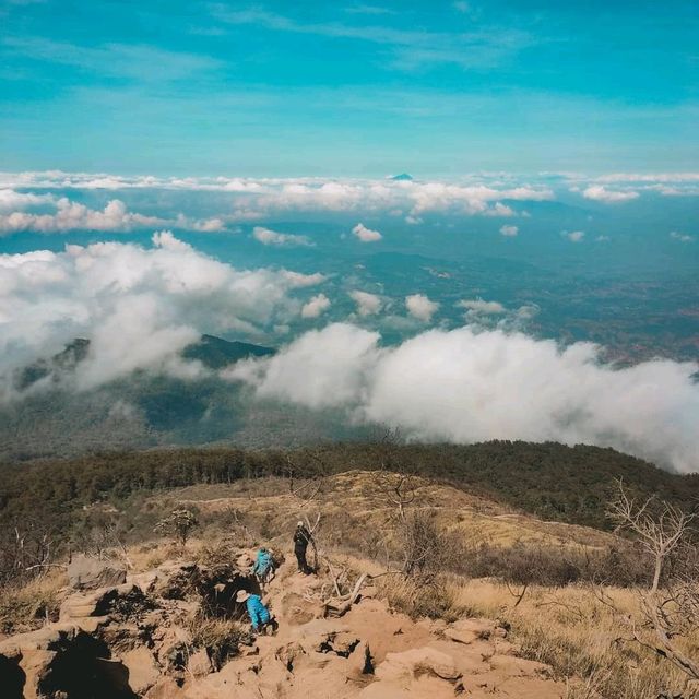 CIREMAI MOUNTAIN : MAJALENGKA