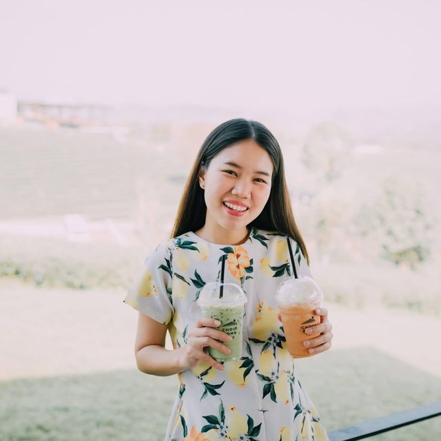 ไร่ชาเขียวที่ดังที่สุดในเชียงราย 🌱