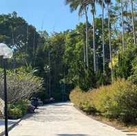 鬧市中的公園 — 九龍公園