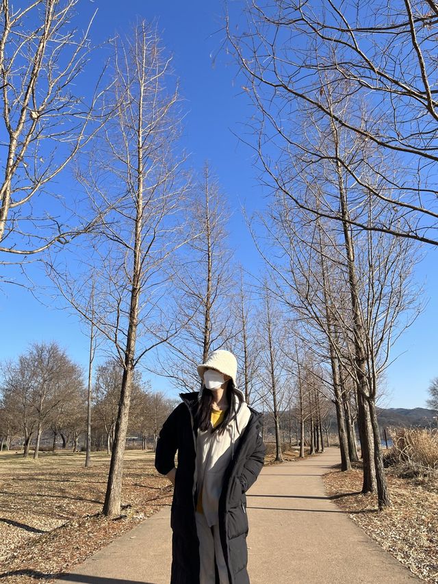 겨울에도 아름다운 남양주 :: 물의 정원