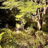箱根一の湯