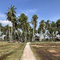 Countryside Lifestyle at Kg Agong