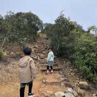 Brick Hill 