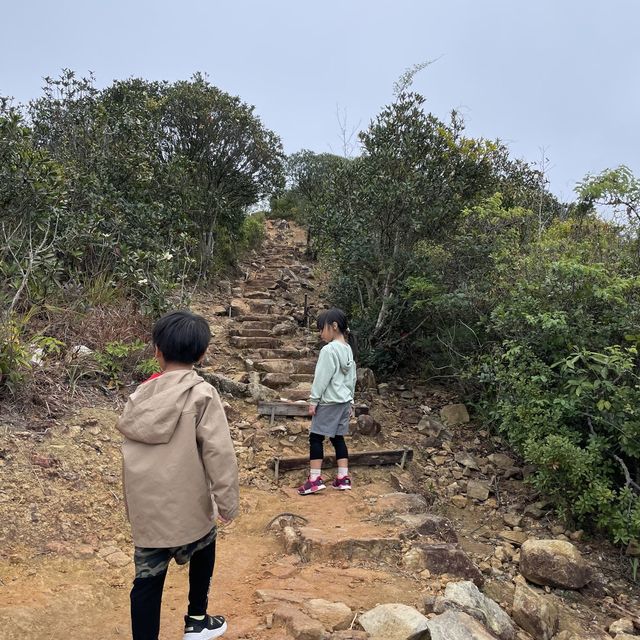 Brick Hill 