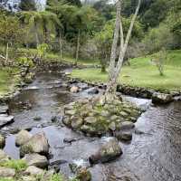 Cibodas Botanical Garden
