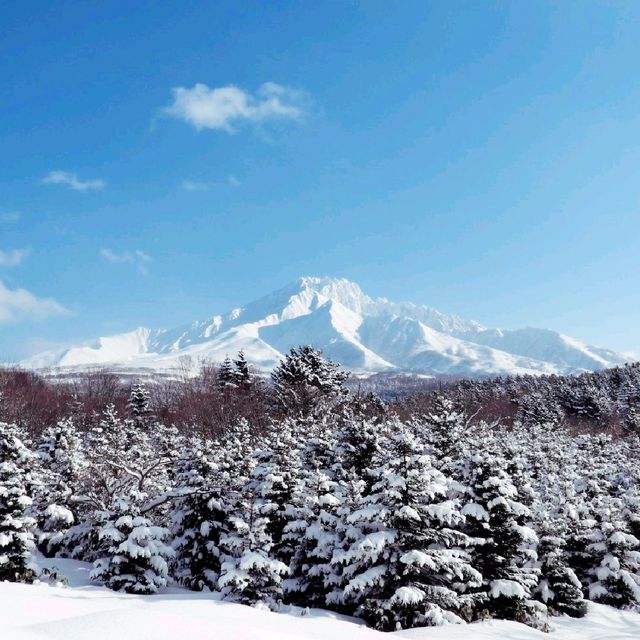 雪化粧した利尻山