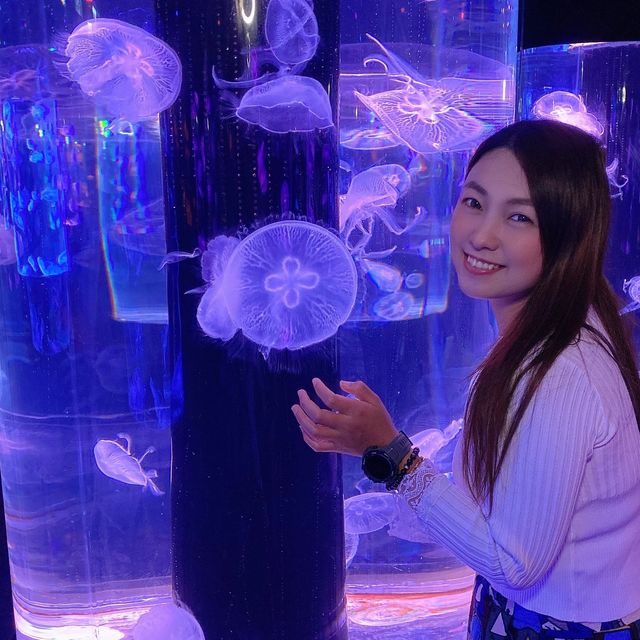 《我與水母有個約會💕》