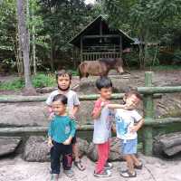 enjoying our zoo trip! 