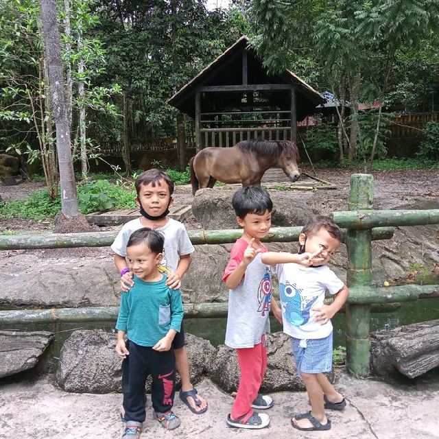 enjoying our zoo trip! 