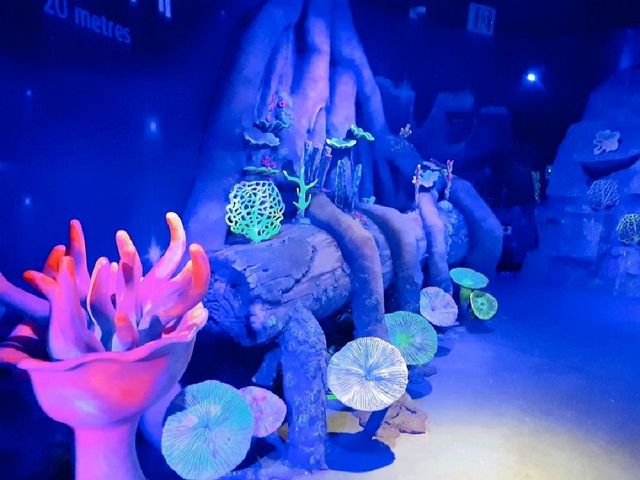 부산 데이트코스, SEA LIFE 아쿠아리움