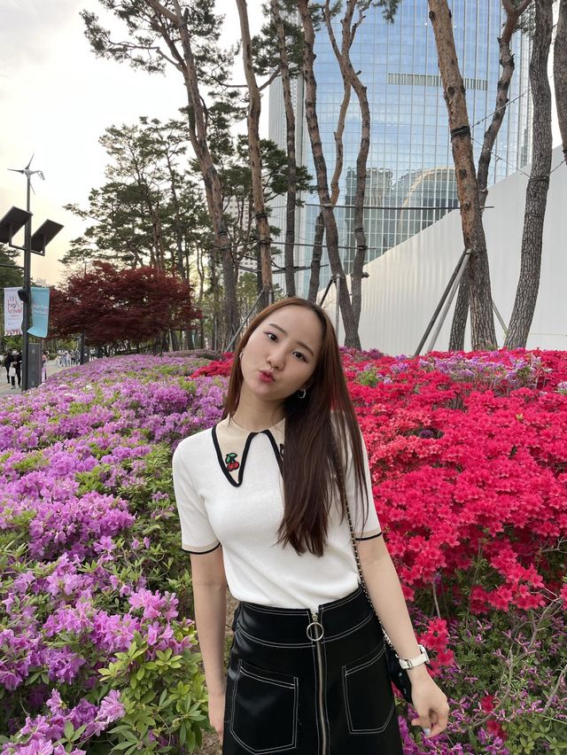 벚꽃 졌다고 안 가기 너무 아쉬운 석촌호수