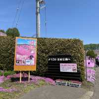 東藻琴の芝桜公園へ