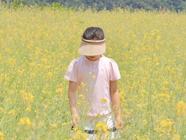 무릉별유천지 유채꽃과 라벤더정원