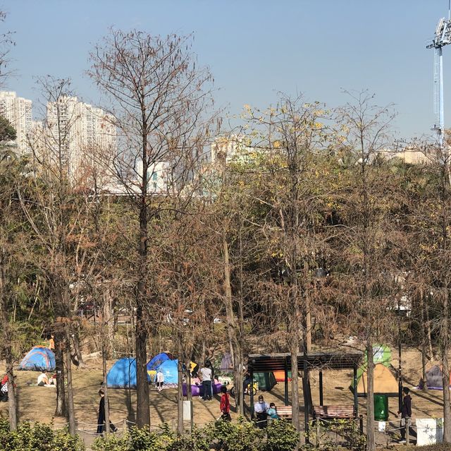 Tsing Yi Park- Spot of Autumn Leaves in the City