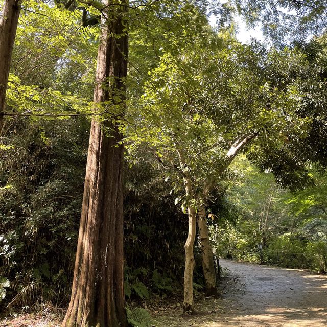 緑あふれる公園SLがあるよ！生田緑地