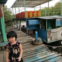 马来西亚 沙巴 哥打京那巴鲁 Binsulok firefly village