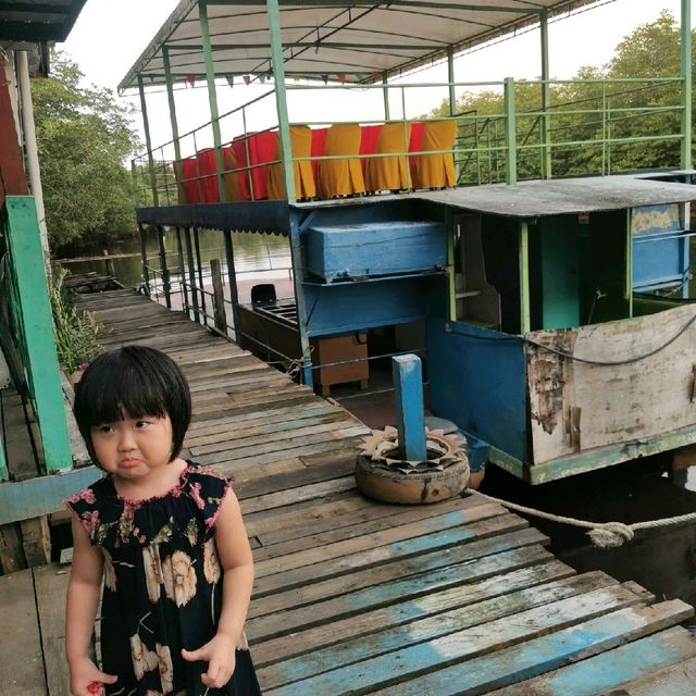 马来西亚 沙巴 哥打京那巴鲁 Binsulok firefly village
