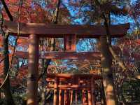 「鬼滅之刃」粉絲的朝聖地｜竈門神社
