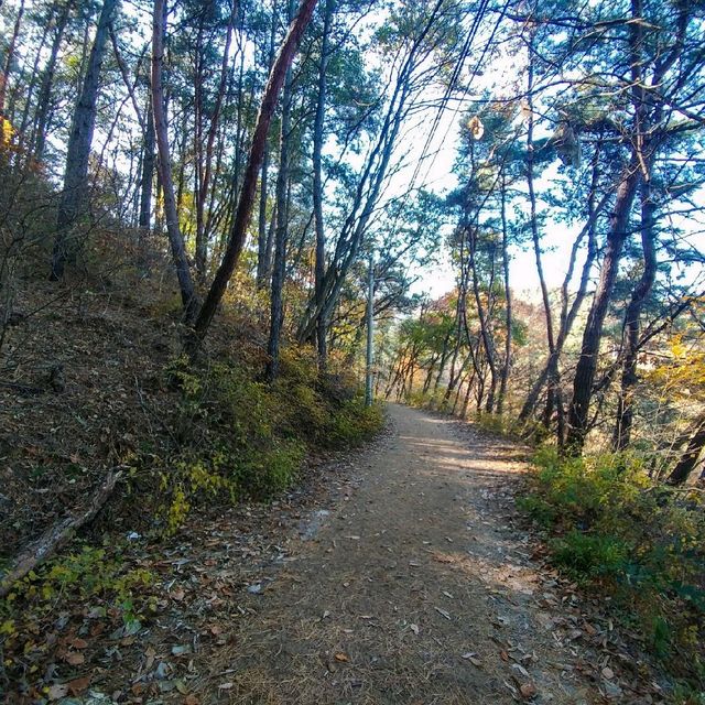 전주 모악산 등산 